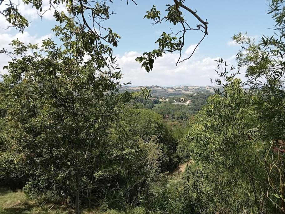 Casa Rosamatilda * Sant'Angelo in Pontano