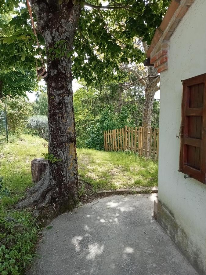 Casa Rosamatilda Holiday home